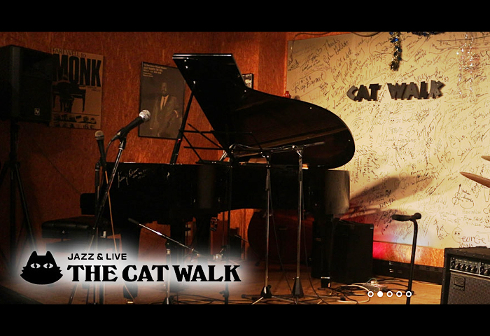 THE CAT WALK